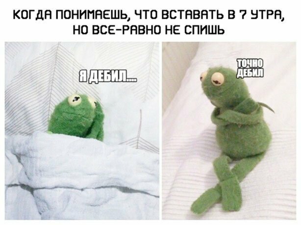 Прикольные и смешные картинки