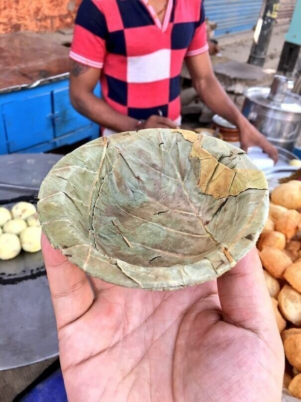 Спрессованные из листьев и скрепленные бамбуковымищепками тарелки используют вместо пластиковой одноразовой посуды продавцы уличной еды в Индии