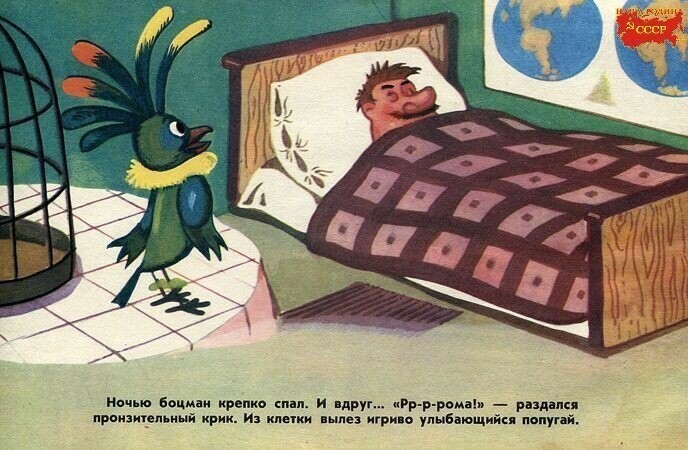 " Боцман и попугай "