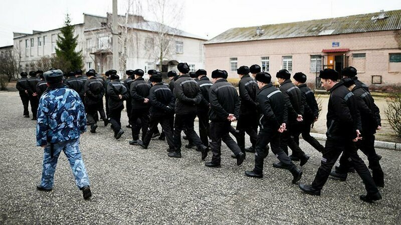 Число осужденных в России достигло исторического минимума