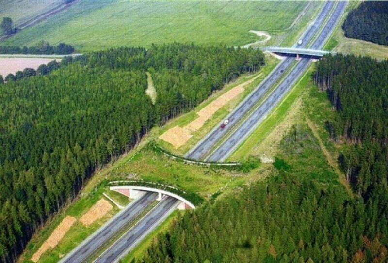 Автострада A20, Германия