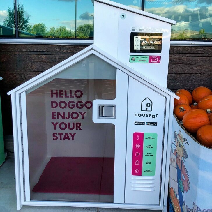 Перед супермаркетом установили комфортабельные собачьи будки, в которых можно настроить температуру