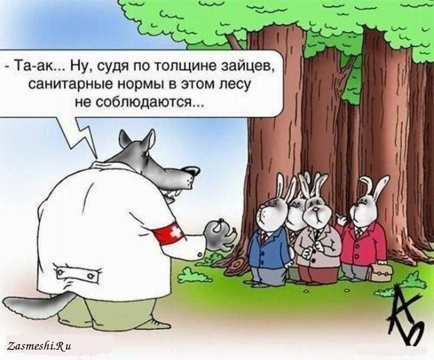 Животная карикатура