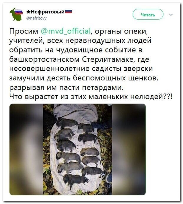 Политические скрины