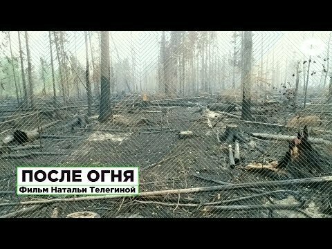 После огня. Фильм-расследование о причинах аномальных пожаров в сибирской тайге 