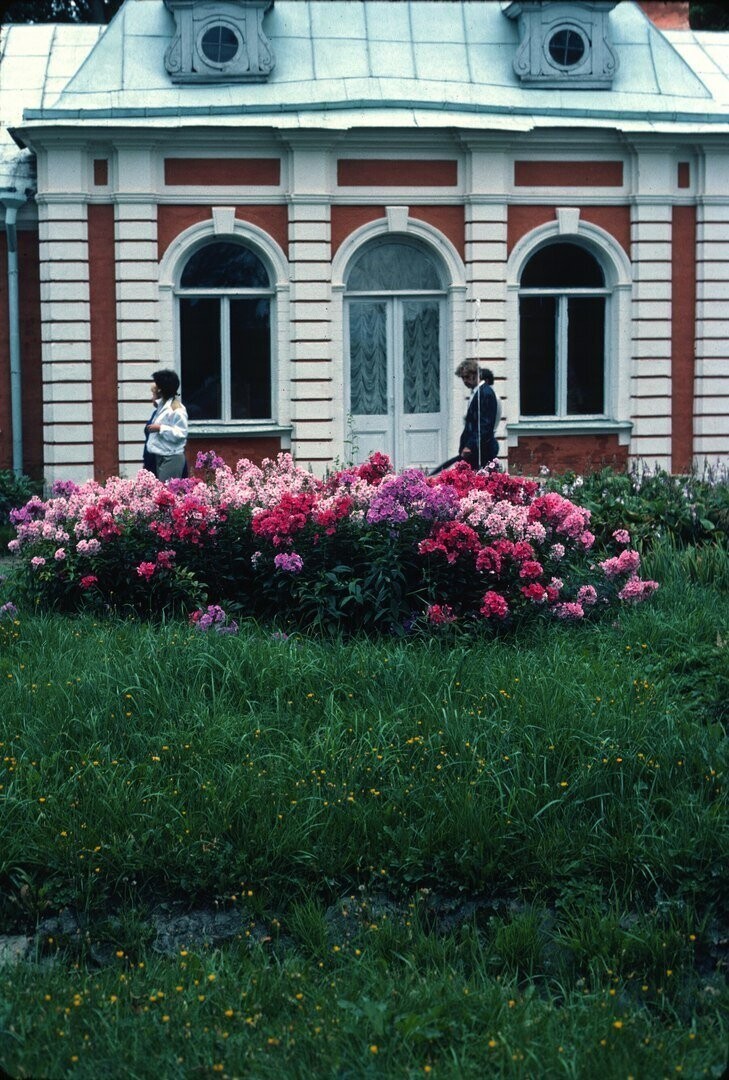 Ленинградская фотоистория