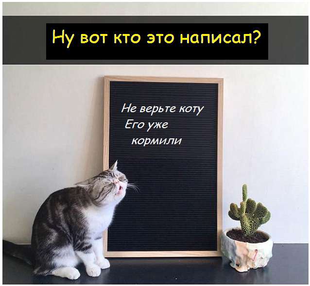 Коты - это те же люди, только коты