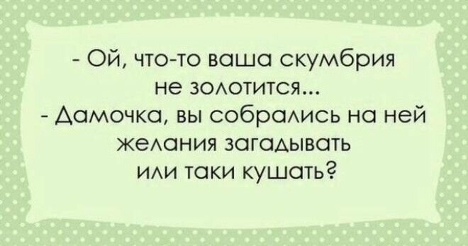 Эти перлы можно услышать только в Одессе! 