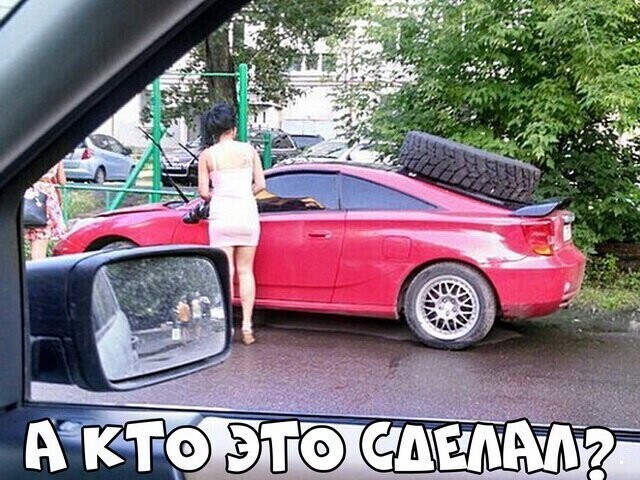 Автовсячина