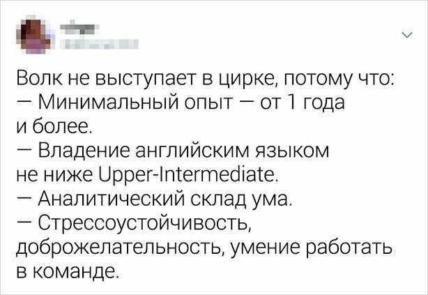 Забавные твиты от людей с нестандартным мышлением