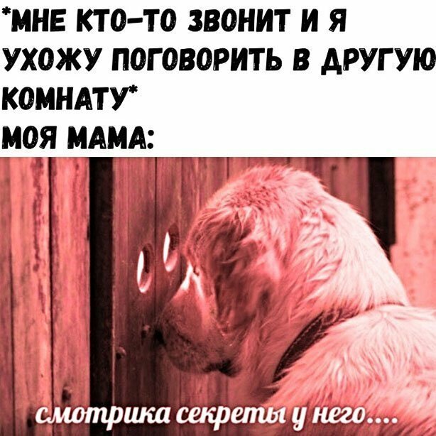 Прикольные и смешные картинки