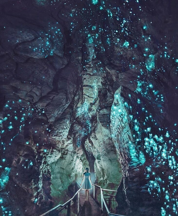 Светящиеся пещеры, Новая Зеландия