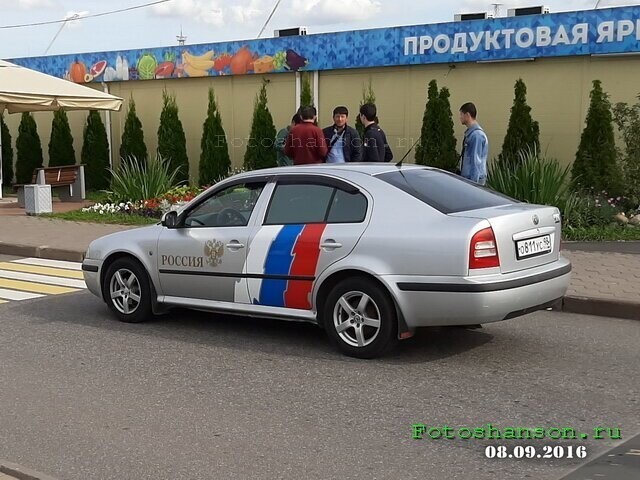 Автовсячина