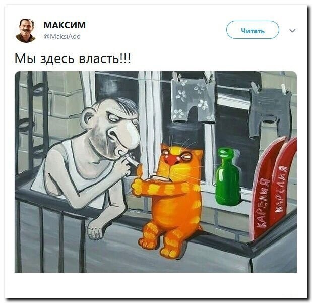 Политические скрины