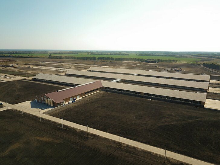 В Воронежской области открыт новый молочный комплекс на 2800 голов дойного стада