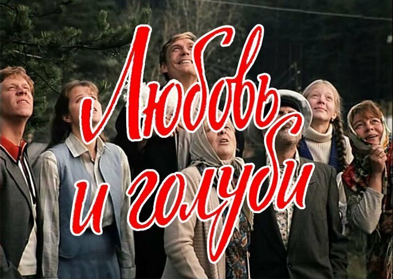 Любовь и голуби море. Любовь и голуби (DVD). Любовь и голуби афиша фильма. Любовь и голуби обложка. Любовь и голуби название фильма.