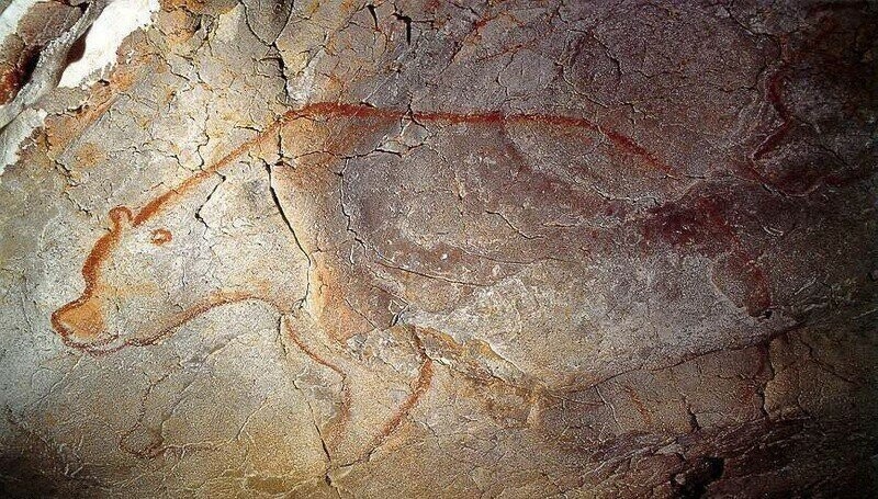 Изображение пещерного медведя, сделанное красной охрой в одном из первых залов.