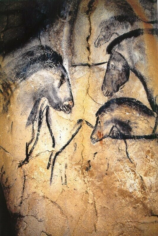 Пещера Шове - забытые сны человечества