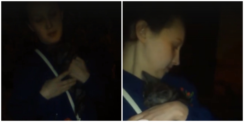 В Смоленске женщина с котёнком отказывалась платить таксисту