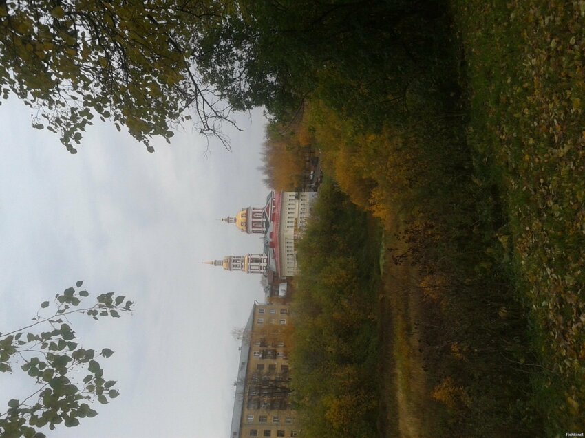 Привет,  соляне