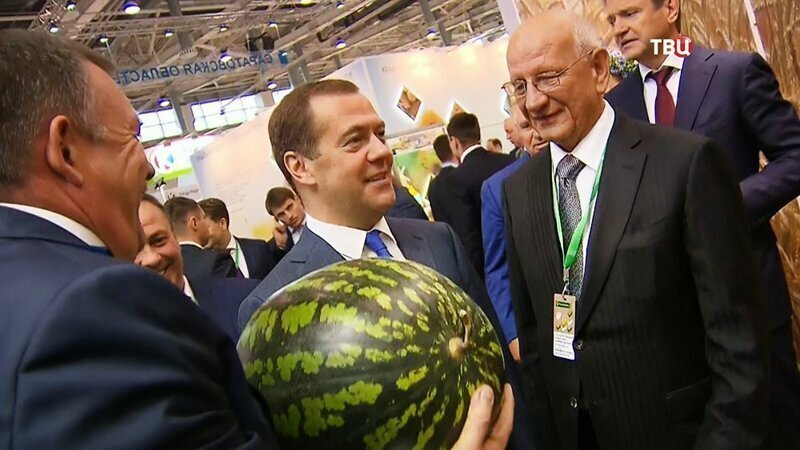 Медведев призвал обеспечить в сёлах комфортную жизнь, как в городах