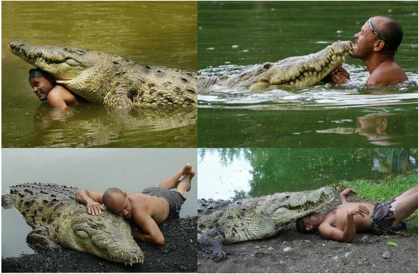 Феноменальная дружба человека и крокодила длиною в 20 лет!