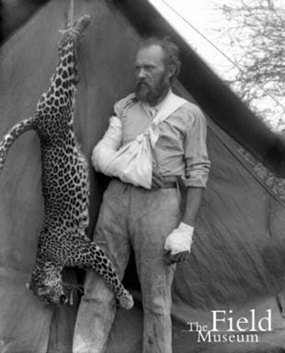  Известный борец за охрану природы, анималист и биолог Карл Эйкли с напавшим на него леопардом, которого он убил голыми руками, 1896 год. 