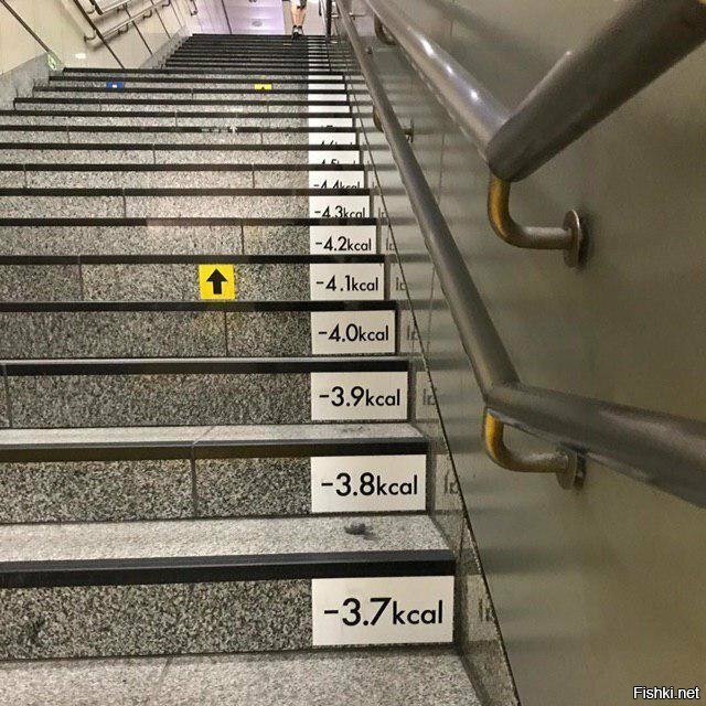 В метро Токио на ступеньках есть таблички с количеством сожжённых калорий, в ...