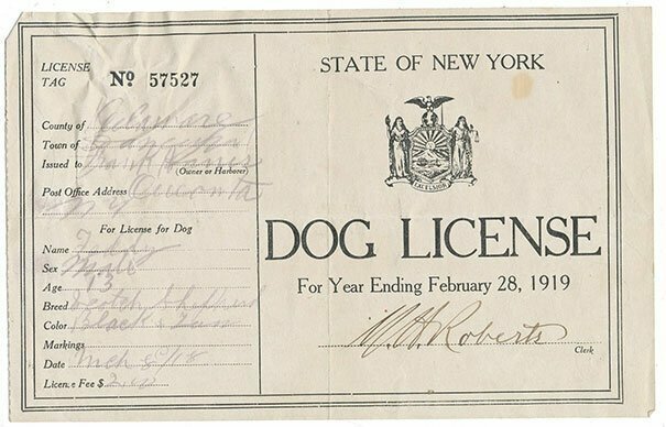 17. Лицензия на собаку, 1918 год