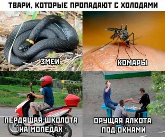 Намешалось