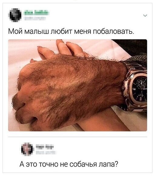 Прикольные и смешные картинки