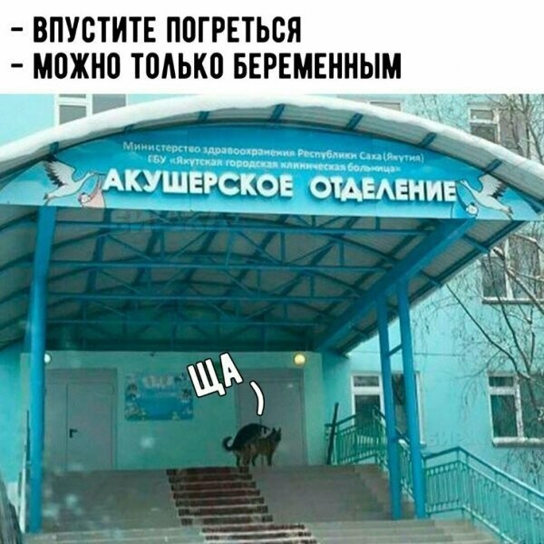 Картинки с надписями
