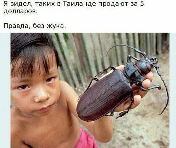 Картинки с надписями