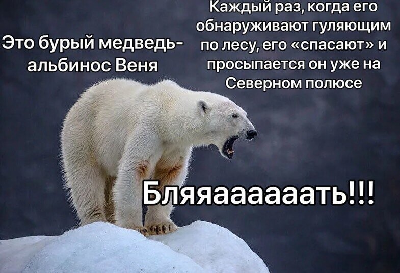 Картинки с надписями