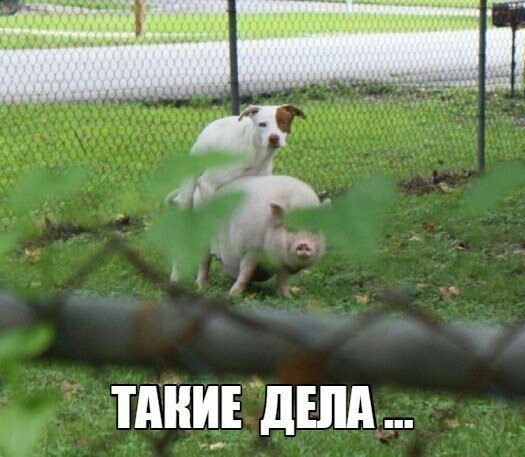 Картинки с надписями