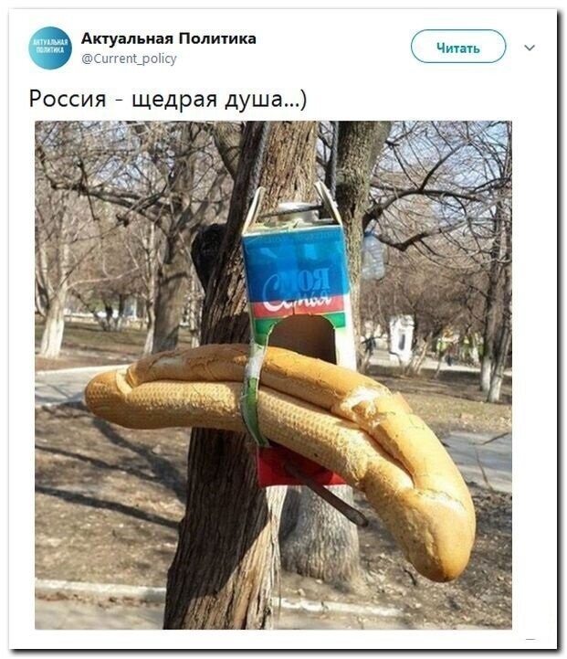 Политические скрины