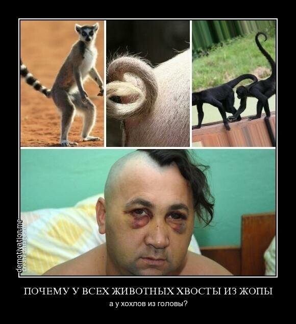 Бояны про Украину 4