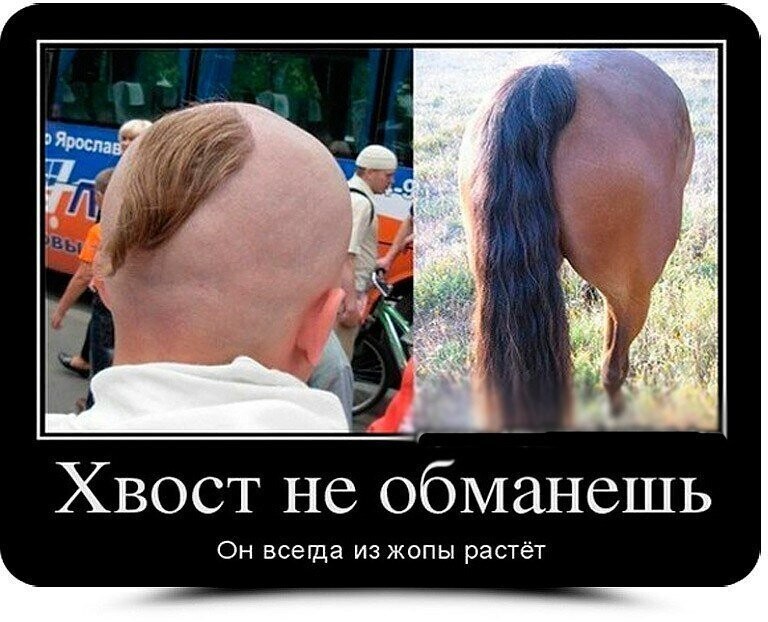 Бояны про Украину 4