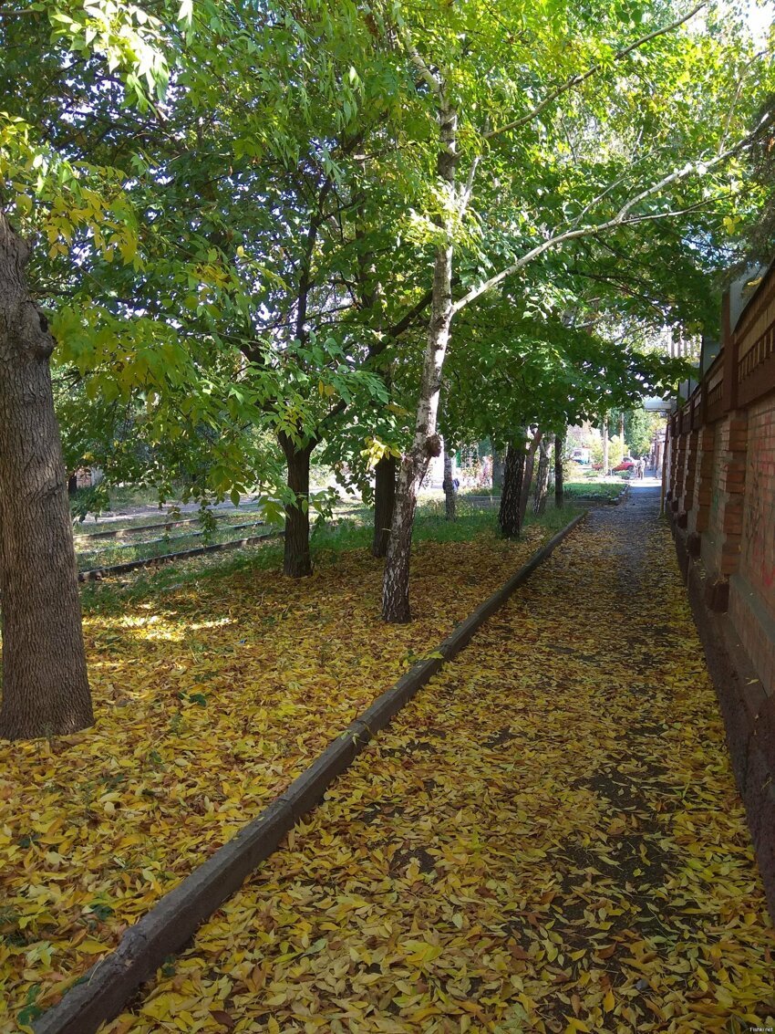 Пришла золотая осень в Таганрог