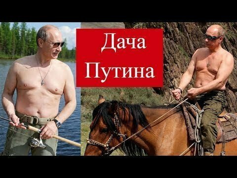 А есть ли у Путина дача на Алтае ? 