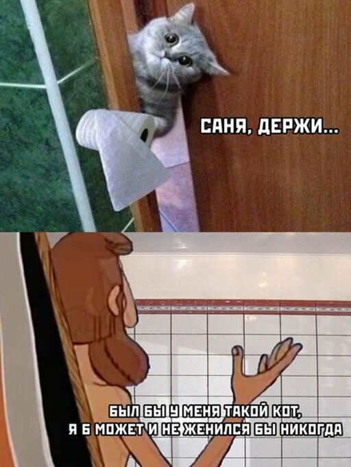 Прикольные и смешные картинки