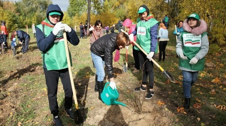 В рамках акции «Неделя леса — 2019» в Татарстане посадили более 1,5 миллиона деревьев