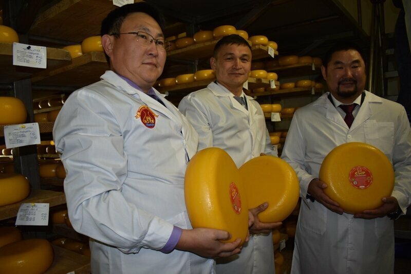 «Кладовая Олекмы» в Якутии реконструировала сырный цех