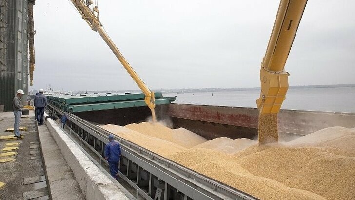 В августе Россия обновила рекорд по месячному экспорту пшеницы