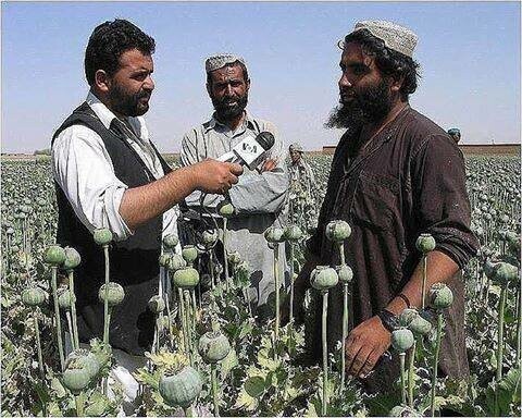 В Афганистане началась битва за урожай