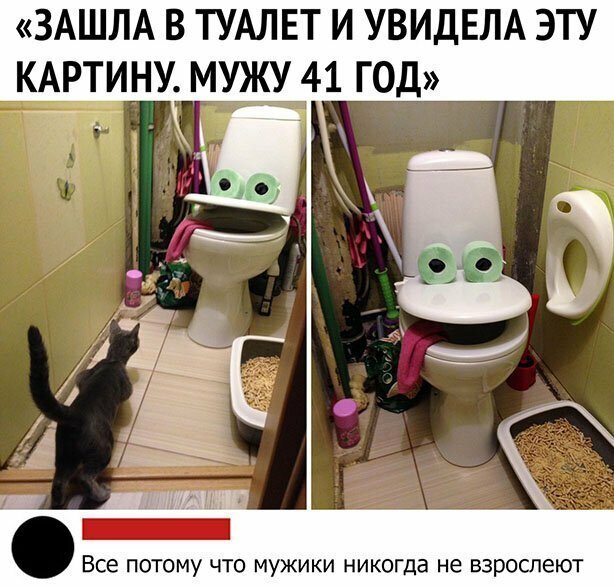 Прикольные и смешные картинки