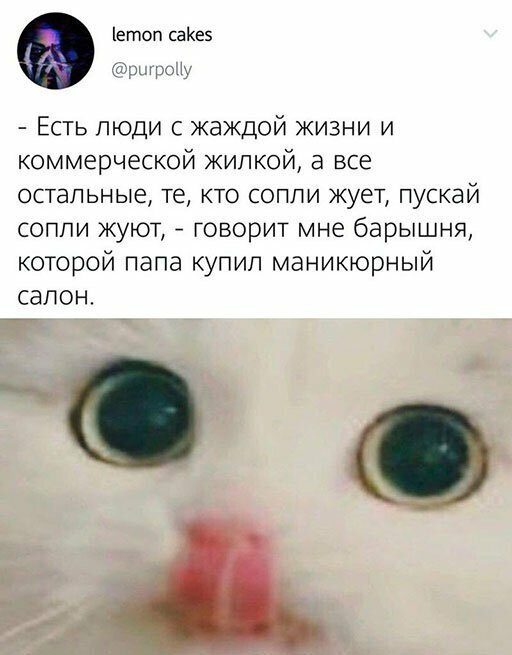 Прикольные и смешные картинки