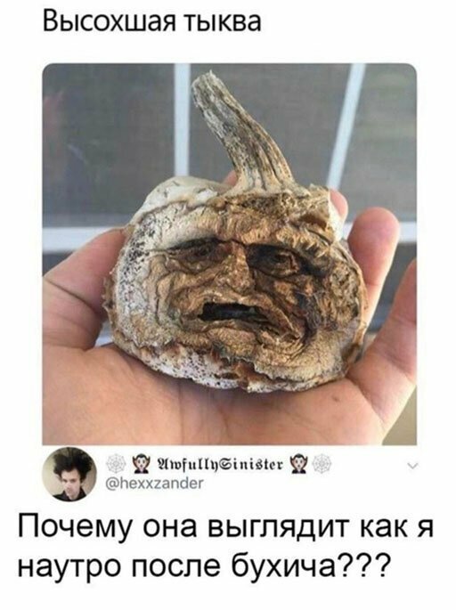 Прикольные и смешные картинки