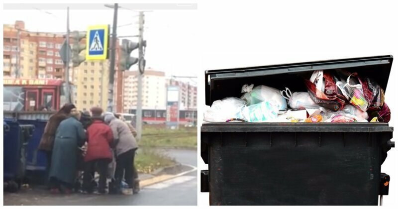 Пенсионеры из Ярославля устроили охоту на просрочку из мусорных баков