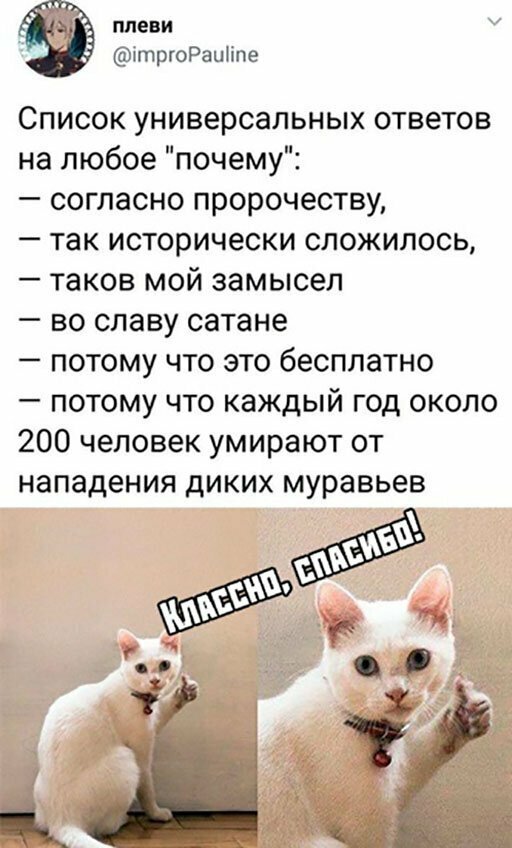 Прикольные и смешные картинки